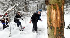 Outdoor briefs published Thursday, Jan. 12