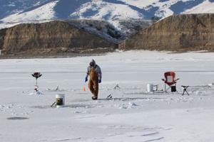 Derby days: Anglers venture to Canyon Ferry in search of elusive perch