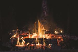 Dozens of notices issued for burning amid poor air quality