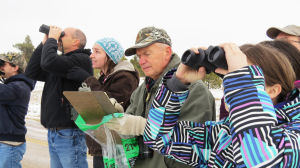 Audubon Christmas Bird Count canceled