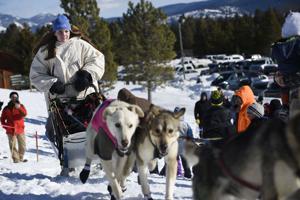 Mushers, dog teams leave Lincoln in the Race to the Sky