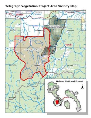 Telegraph forestry project gets green light