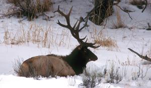 Outdoor briefs published Thursday, Feb. 16