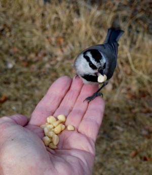Open Range: The one sign of spring I trust