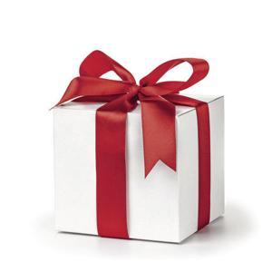 The Technology Standard: A gift guide for the techie in your life