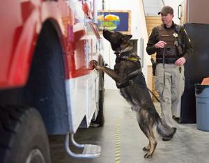 Sheriff's office gets first K-9 in 3 decades