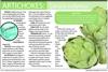 Curious Kitchen: Artichoke