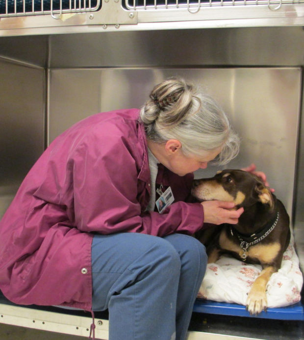 Pet class is grooming success in Decatur women's prison