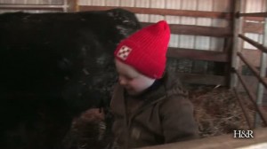 Kids on the cattle farm