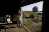 Local organic farmers putting produce on plates for eager customers