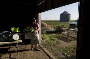 Local organic farmers putting produce on plates for eager customers