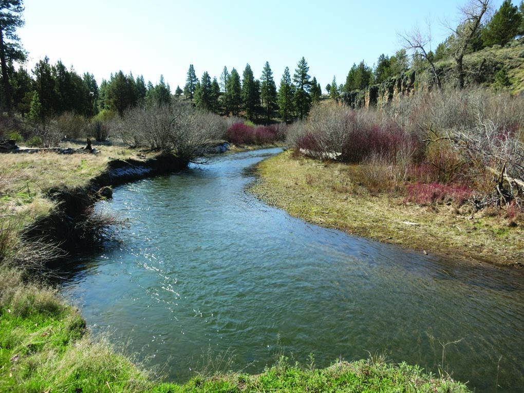 Water shutoffs taking place in upper Basin Local News