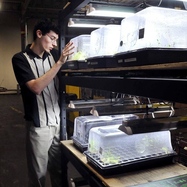 Robert Stiver, Purdue Polytechnic sophomore, checks on the lettuce that students are growing in their hydroponic project they hope will help supply Second Harvest Food Bank with a constant supply of fresh produce. (Herald Bulletin photo)