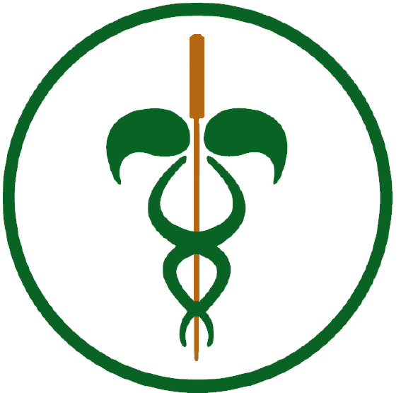 Isthmus Acupuncture
