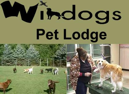 Windogs Pet Lodge