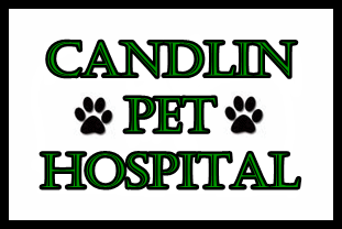 Candlin Pet Hospital