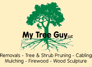 My Tree Guy LLC