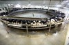 factory farm (Day 1) No. 6