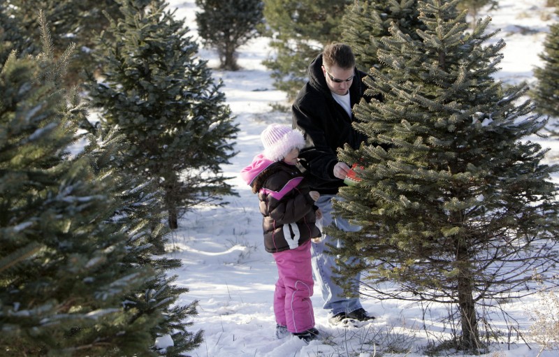 photo gallery hann s christmas tree farm host madison com photo gallery hann s christmas tree farm host madison com