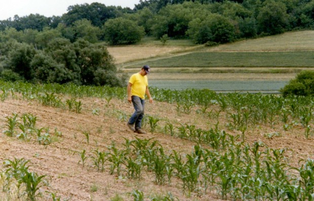 1988 drought file