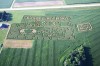 Schuster Playtime Farm.jpg