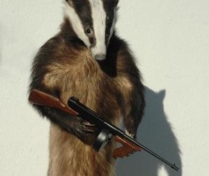 Bucky in a Confederate uniform? No way, says UW