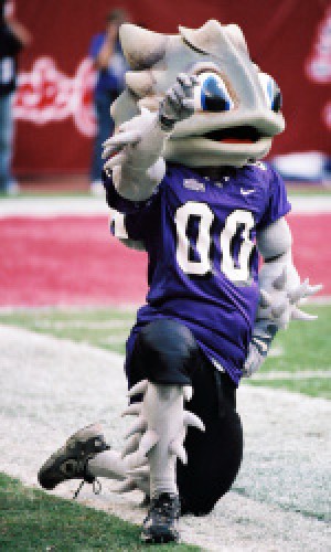 Tcu Mascot Pics