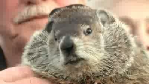 Jimmy the Groundhog's big day