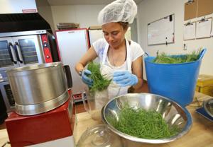 Farmers' market wait is over in more ways than one