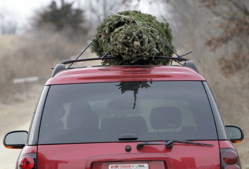 photo gallery hann s christmas tree farm host madison com photo gallery hann s christmas tree farm host madison com