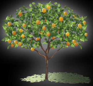 Grass Roots: Nuts about fruit trees? Get clicking for ...