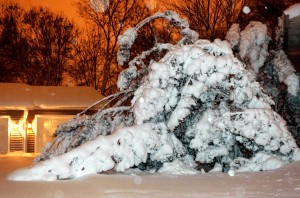 Photo gallery: Winter storm Dec. 8, 2009