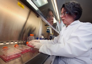 UW steps up bio research safety