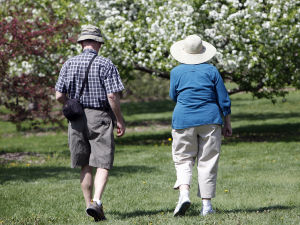 Photos: Longenecker Gardens at UW Arboretum