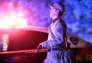 Photos: One in custody after Southwest Side standoff