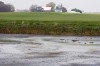 factory farm (Day 1) No. 17