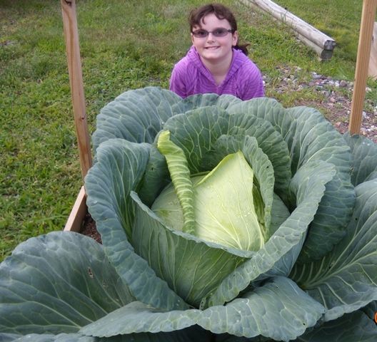 Contest Winner Riley Olbrantz with cabbage