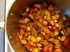 Rhubarb 1