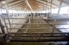factory farms (Day 1) No. 15