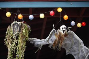 Photos: Madison residents get in the Halloween spirit