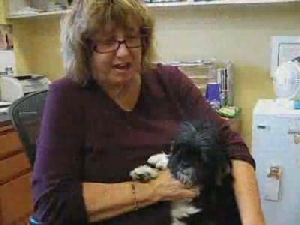 Puppy Mills in Wisconsin