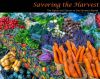 Locally written cookbooks celebrate cuisine near and far