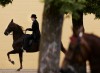 Madison Classic Horse Show
