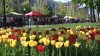 Outdoor Farmers' Market debuts for 2012