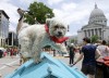 Around the Bubbler: Dogs on the Square, Ancora String Quartet, Madison Mud Run