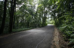 Madison back under normal for June precipitation