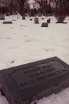ALBERT WIRZ in Beloit Oakwood Cemetery