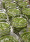 Pine needle pesto