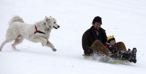 Photos: Kings of the hill
