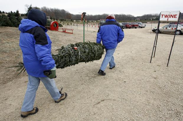 photo gallery hann s christmas tree farm gallery photo gallery hann s christmas tree farm gallery